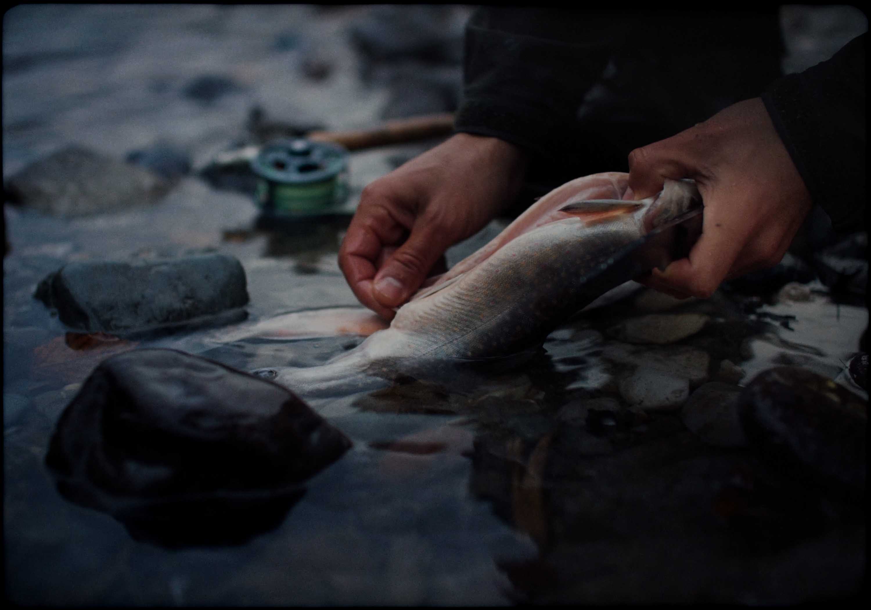 Mercedes SLR McLaren Side view