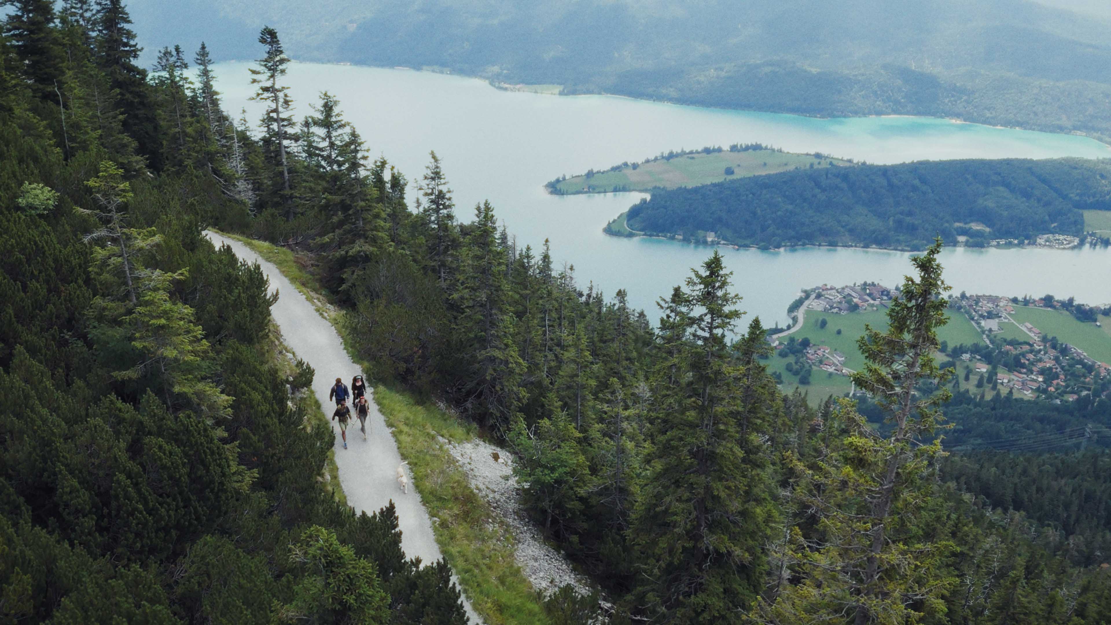 Macro detail: red-lit paddle shifter on a steering wheel, silhouetted against dark blue background.