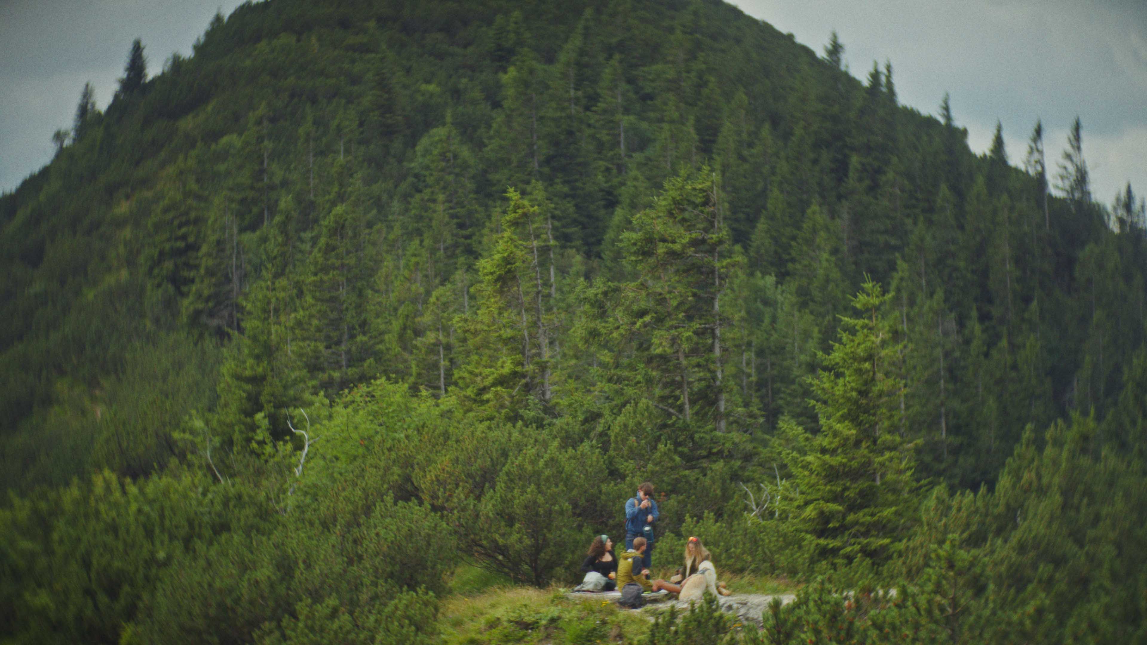 Macro detail: red-lit paddle shifter on a steering wheel, silhouetted against dark blue background.