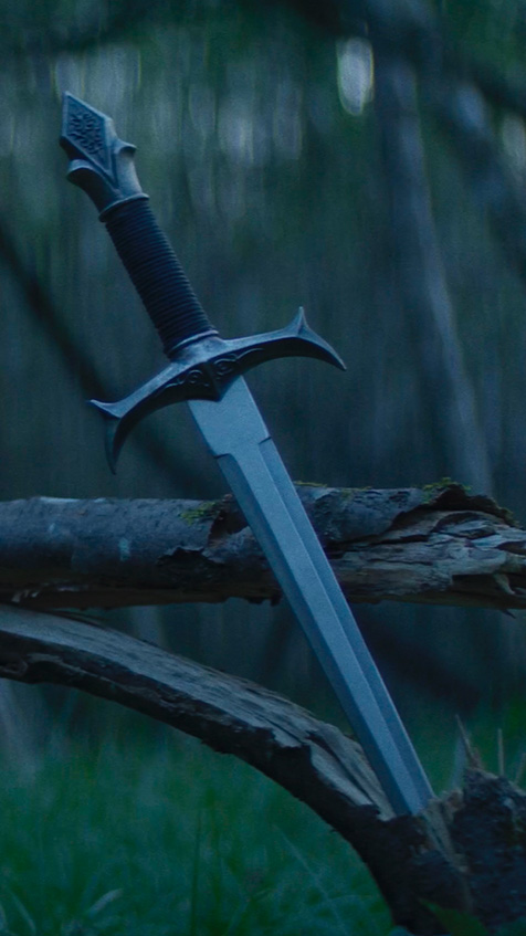 Ornate sword stuck in a log in a forest